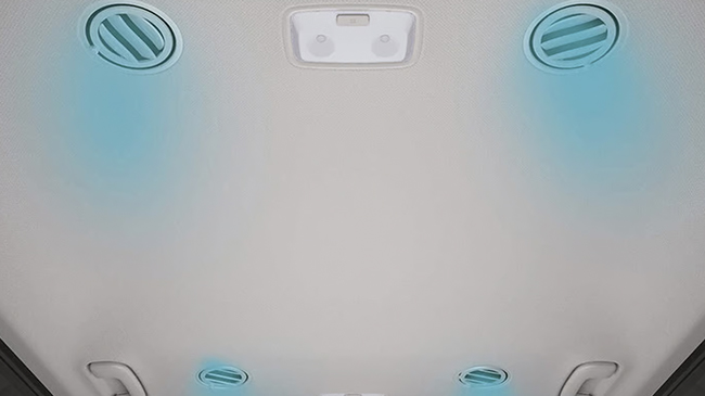 Carens Int Artboard 1 copy 5